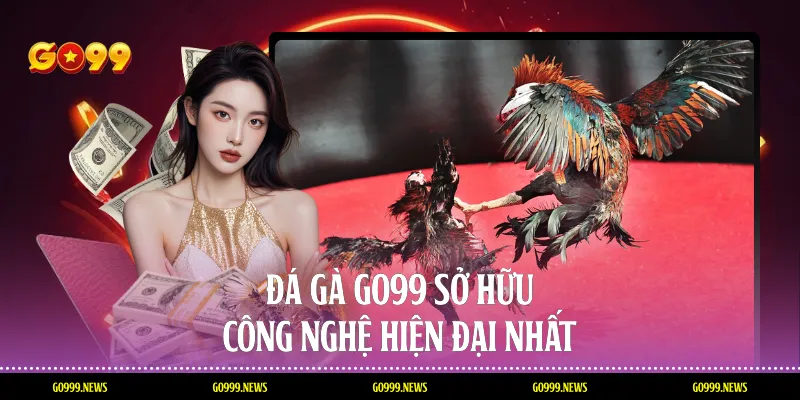 Đá gà Go99 sở hữu công nghệ hiện đại nhất
